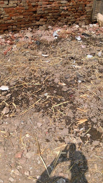 اليوم السابع -10 -2015