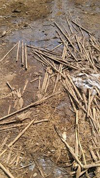 اليوم السابع -10 -2015