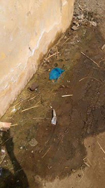 اليوم السابع -10 -2015