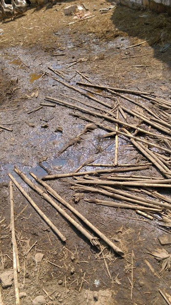 اليوم السابع -10 -2015