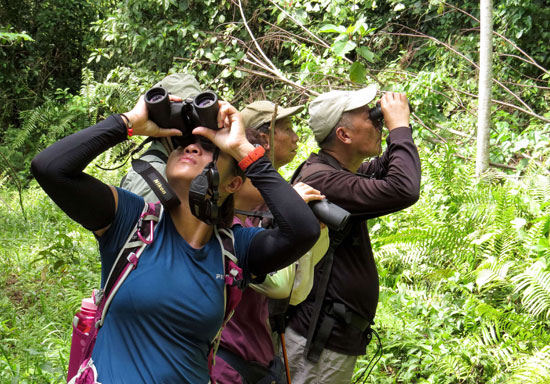 	مراقبة مجموعة من المصورين لحركة الطيور فى الغابات الاستوائية. -اليوم السابع -10 -2015
