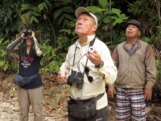 	استمرار متابعة المصورين لحركة الطيور لتسجيلها على كاميراتهم -اليوم السابع -10 -2015