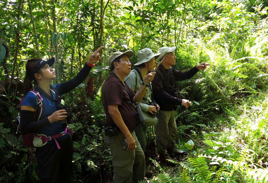 	رصد كل قطعة فى غابات جنوب الفلبين بكاميرا المصورين. -اليوم السابع -10 -2015