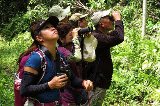 متابعة المصورين لجمال الغابات الاستوائية فى جنوب الفلبين -اليوم السابع -10 -2015