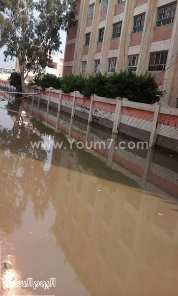 اليوم السابع -11 -2015