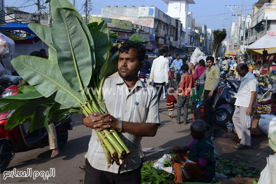 رجل هندى يحمل أوراق الموز فى السوق خلال مهرجان 