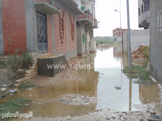 اليوم السابع -11 -2015