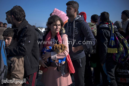 اليوم السابع -11 -2015