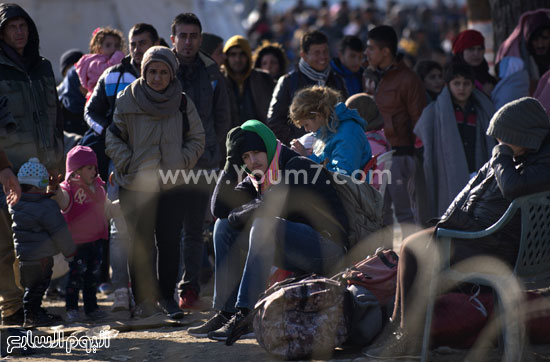 اليوم السابع -11 -2015