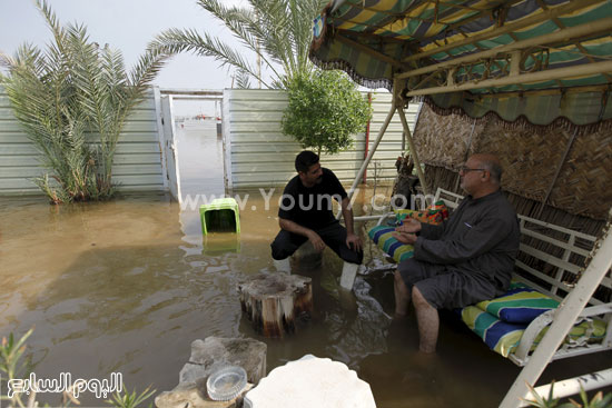 اليوم السابع -11 -2015