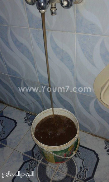 اليوم السابع -11 -2015