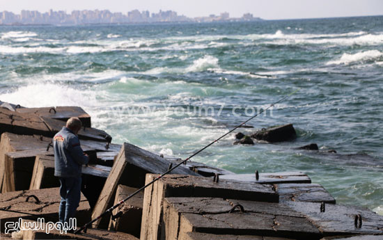 اليوم السابع -11 -2015