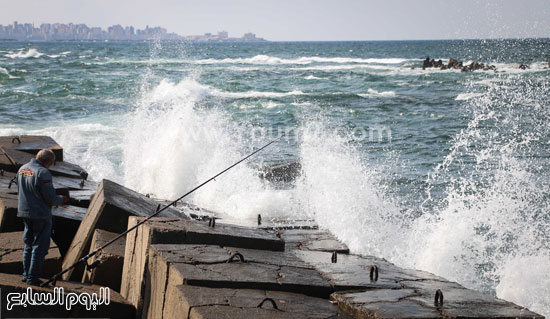 اليوم السابع -11 -2015