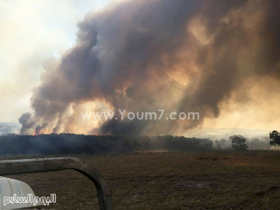 اليوم السابع -11 -2015