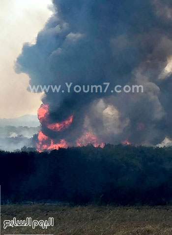 اليوم السابع -11 -2015