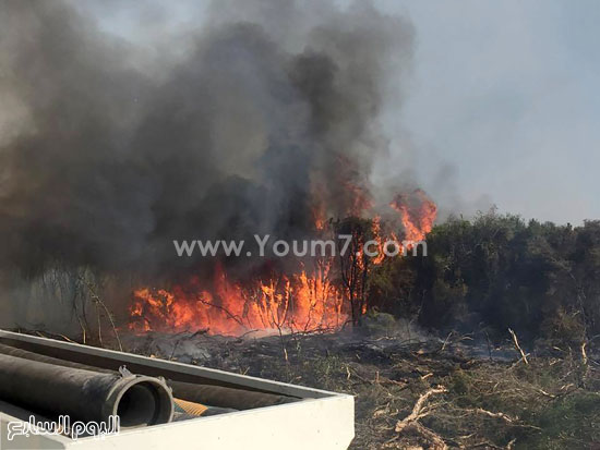 اليوم السابع -11 -2015