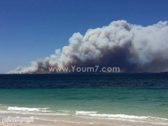 اليوم السابع -11 -2015