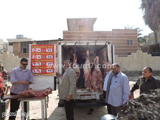 اليوم السابع -11 -2015