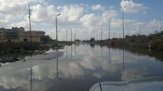 اليوم السابع -11 -2015