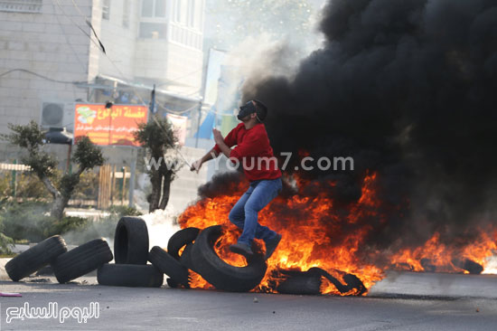 اليوم السابع -11 -2015