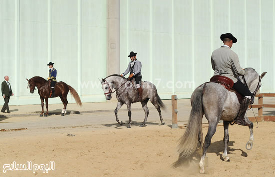 الفرسان يقومون بتدريب خيولهم قبل بدء المسابقة  -اليوم السابع -11 -2015