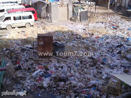 اليوم السابع -11 -2015