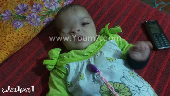 اليوم السابع -11 -2015