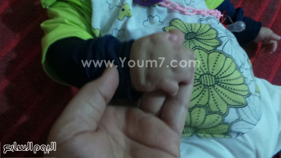 اليوم السابع -11 -2015