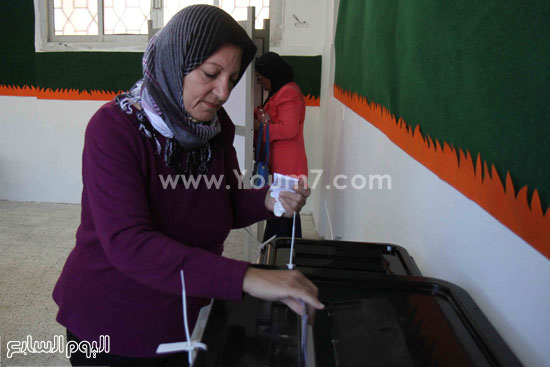 اليوم السابع -11 -2015