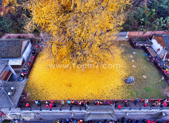 العاصمة الصينية بكين -اليوم السابع -11 -2015