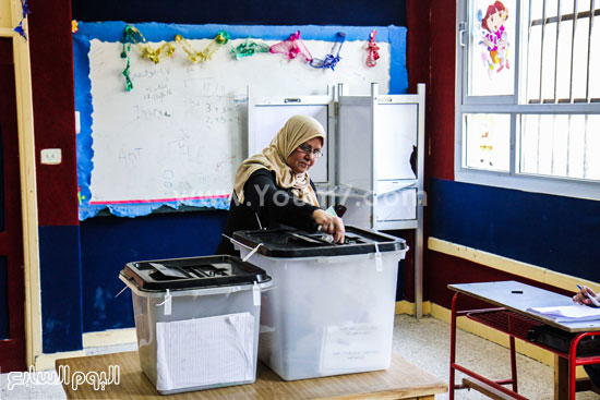 اليوم السابع -11 -2015