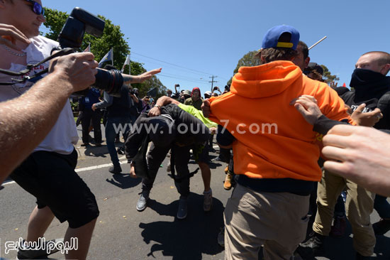 اليوم السابع -11 -2015