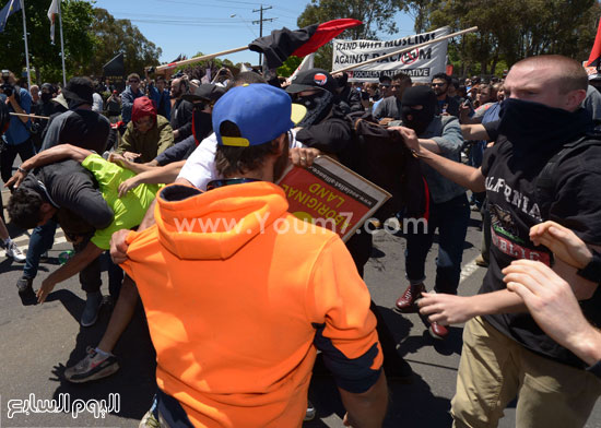 اليوم السابع -11 -2015