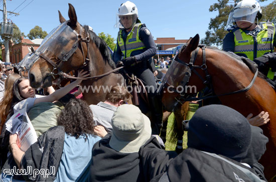 اليوم السابع -11 -2015