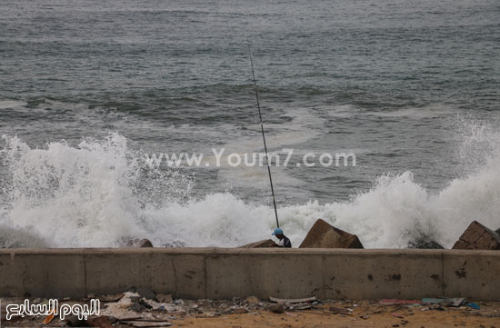 اليوم السابع -11 -2015