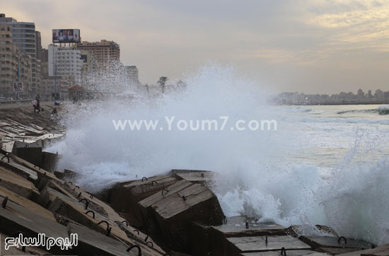 اليوم السابع -11 -2015