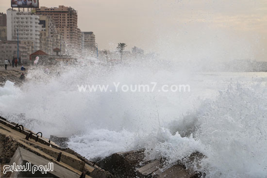 اليوم السابع -11 -2015