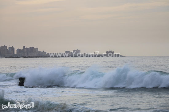 اليوم السابع -11 -2015