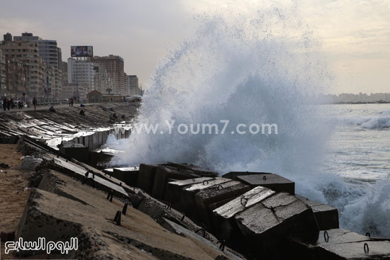 اليوم السابع -11 -2015