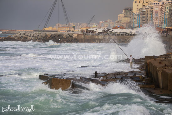 اليوم السابع -11 -2015