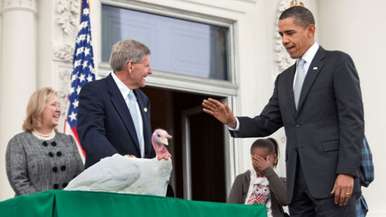 باراك أوباما مع الديك الرومى فى نوفمبر 2009 -اليوم السابع -11 -2015