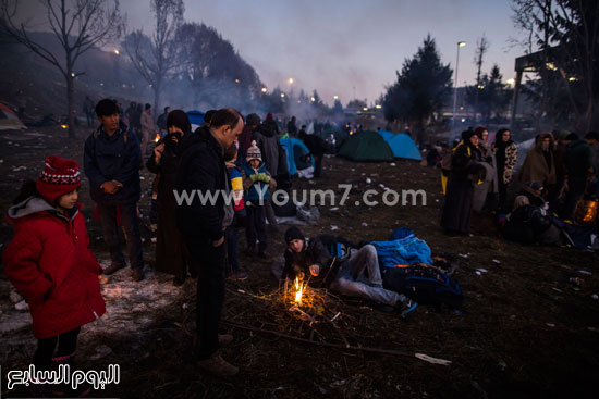 اليوم السابع -11 -2015