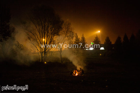 اليوم السابع -11 -2015