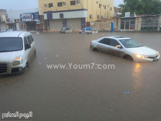 اليوم السابع -11 -2015