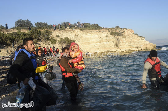 اليوم السابع -11 -2015