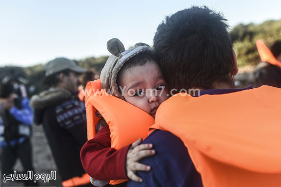 اليوم السابع -11 -2015