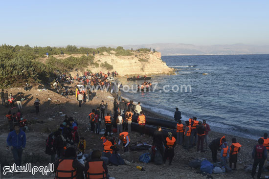 اليوم السابع -11 -2015