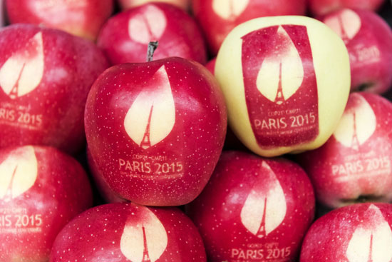 حدائق Les Jardins Fruitiers تزرع التفاح  -اليوم السابع -11 -2015