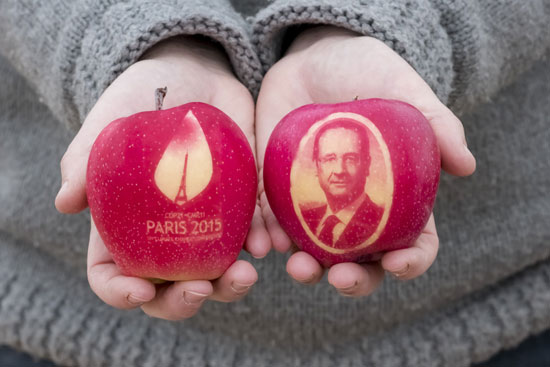 تفاحة مطبوع فوقها صورة الرئيس الفرنسى فرانسوا هولاند -اليوم السابع -11 -2015