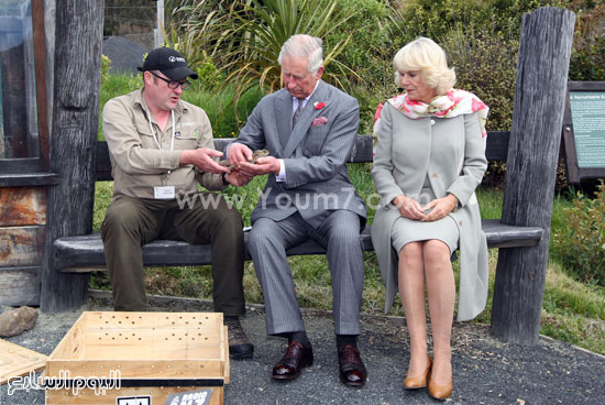 تسليم الأمير تشارلز وزوجته للسحلية للمرشد النيوزيلندى -اليوم السابع -11 -2015